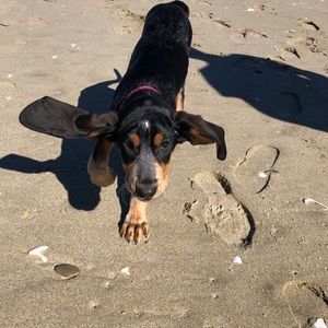 Meet your Posher, Alexia